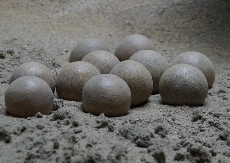 18545 Orte - Sand-Nest Puzzle