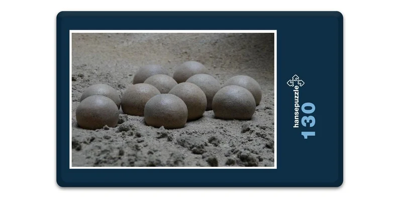 18545 Orte - Sand-Nest Puzzle