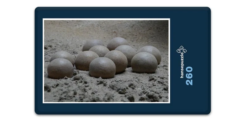 18545 Orte - Sand-Nest Puzzle
