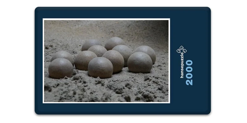 18545 Orte - Sand-Nest Puzzle