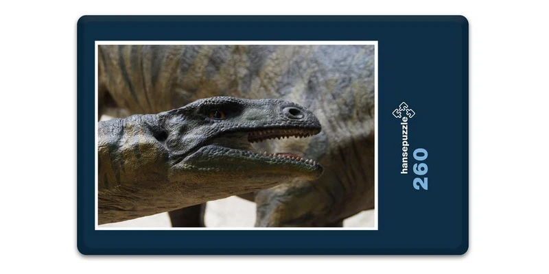 18542 Orte - Im Museum Puzzle