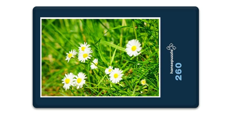 18577 Natur - Blumen-Wiese Puzzle