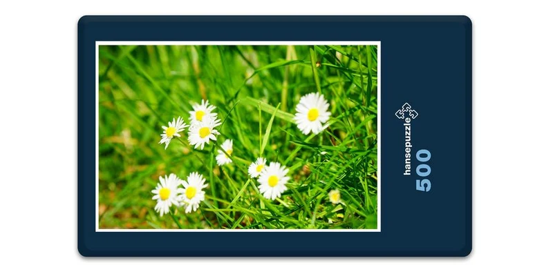 18577 Natur - Blumen-Wiese Puzzle