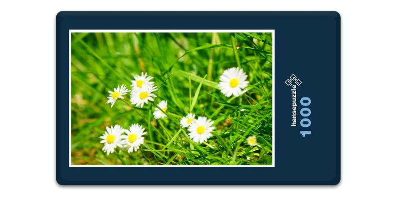 18577 Natur - Blumen-Wiese Puzzle