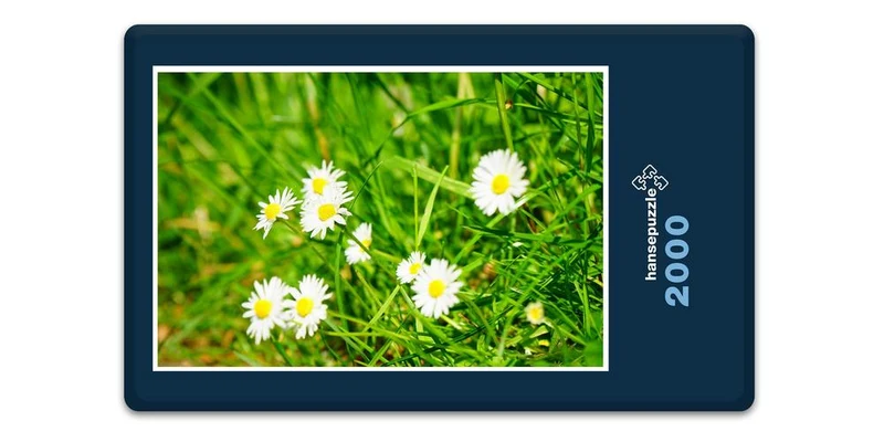 18577 Natur - Blumen-Wiese Puzzle
