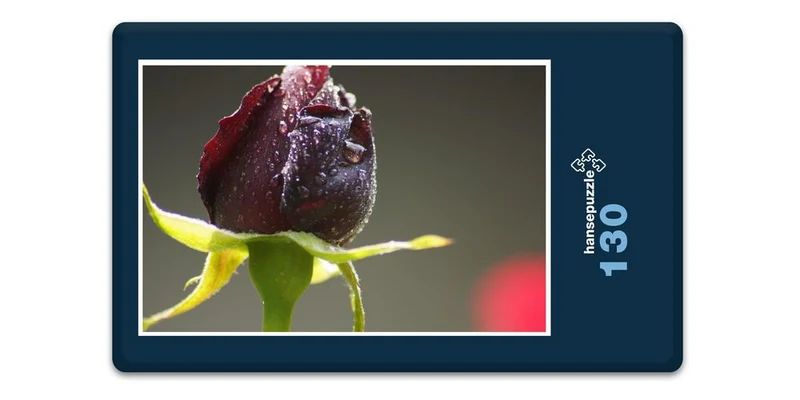 18576 Natur - Rote Rose Puzzle