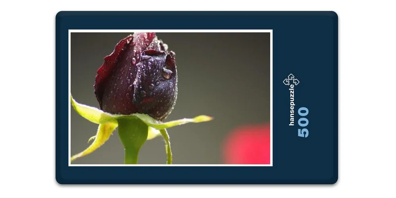18576 Natur - Rote Rose Puzzle