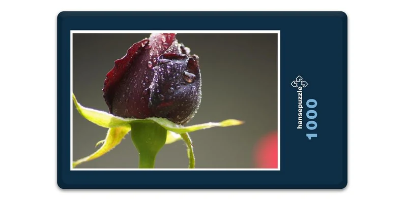 18576 Natur - Rote Rose Puzzle