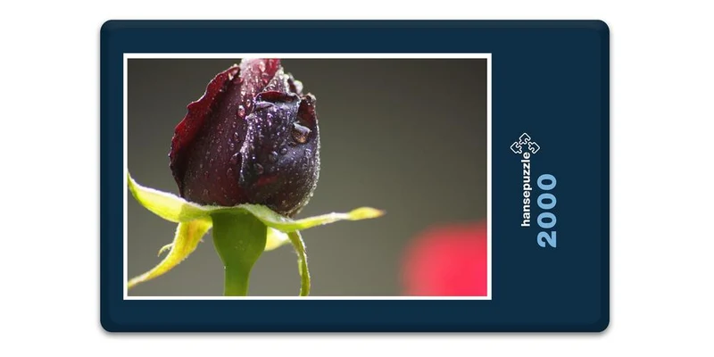 18576 Natur - Rote Rose Puzzle