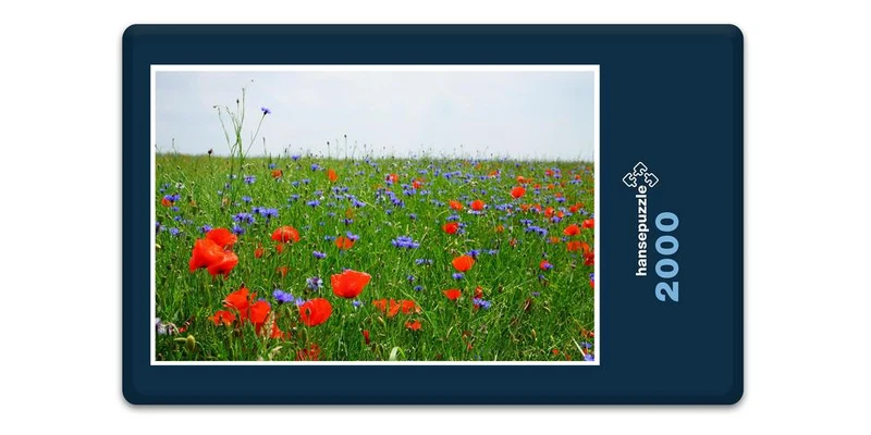 18574 Natur - Blumen-Feld Puzzle