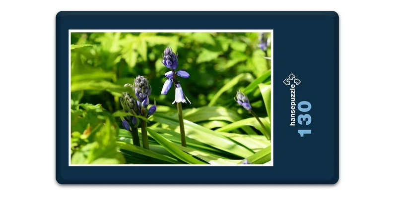 18573 Natur - Hyazinthe Puzzle