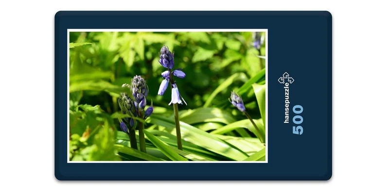 18573 Natur - Hyazinthe Puzzle