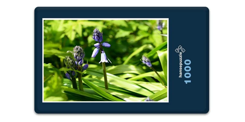 18573 Natur - Hyazinthe Puzzle