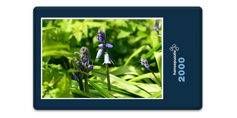 18573 Natur - Hyazinthe Puzzle