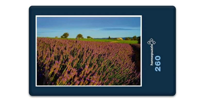 18572 Natur - Blühendes Feld Puzzle
