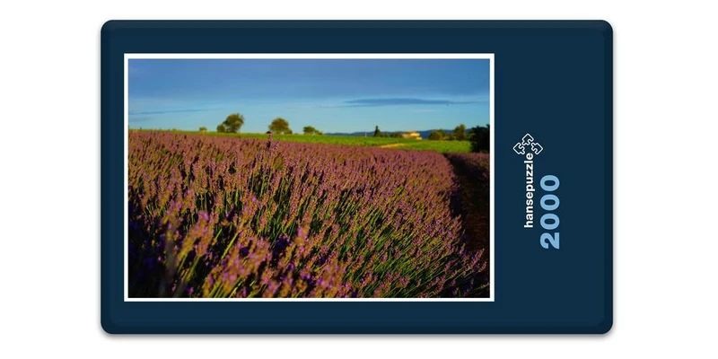 18572 Natur - Blühendes Feld Puzzle