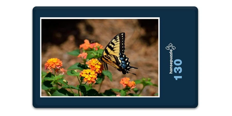 18571 Tierwelt - Schmetterling Puzzle