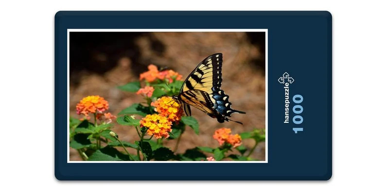 18571 Tierwelt - Schmetterling Puzzle