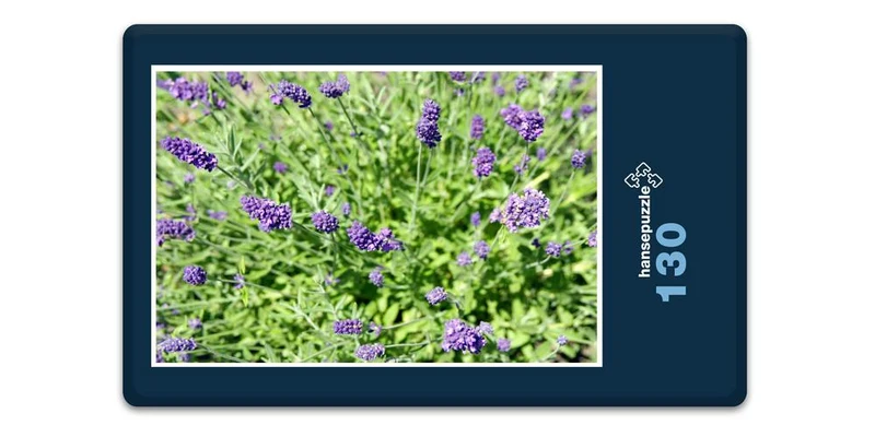 18570 Natur - Lavendel Puzzle