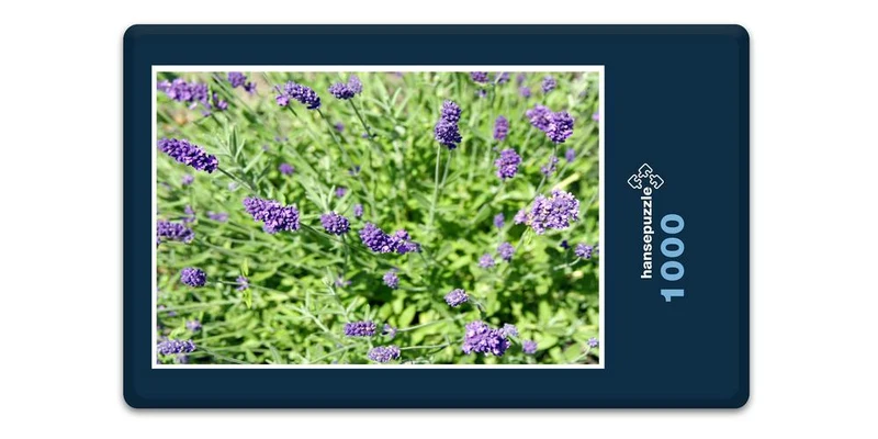 18570 Natur - Lavendel Puzzle