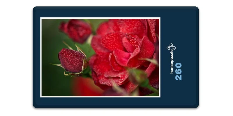 18569 Natur - Rote Rose Puzzle