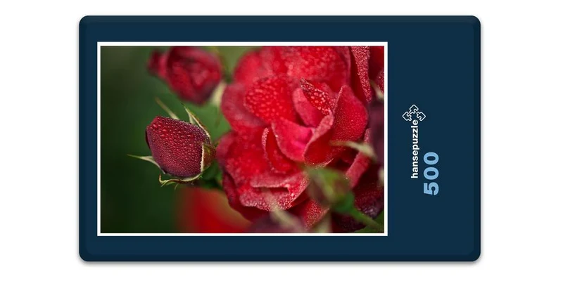 18569 Natur - Rote Rose Puzzle
