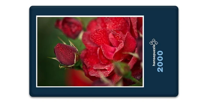 18569 Natur - Rote Rose Puzzle