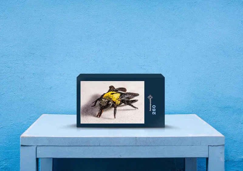 21425 Tierwelt - Fliege Puzzle