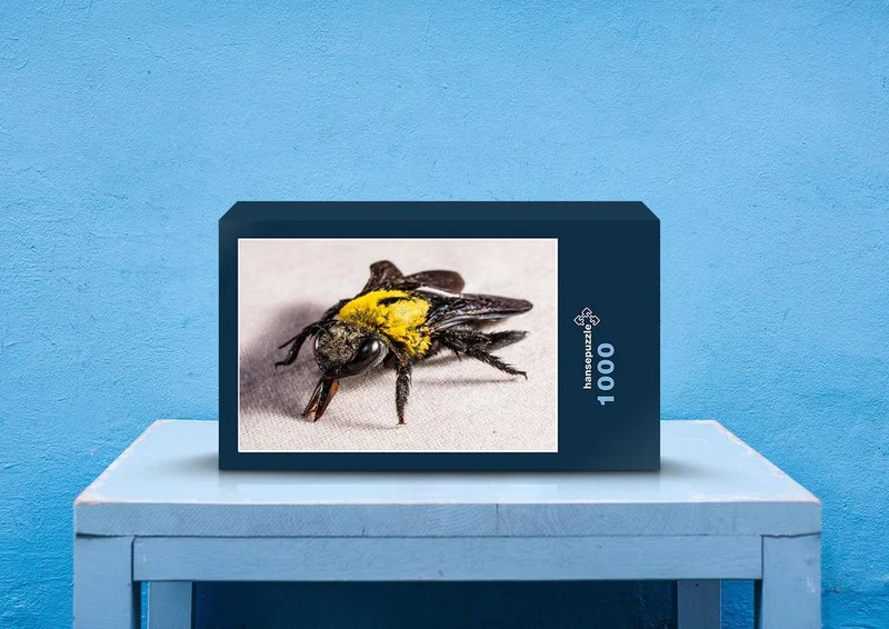 21425 Tierwelt - Fliege Puzzle