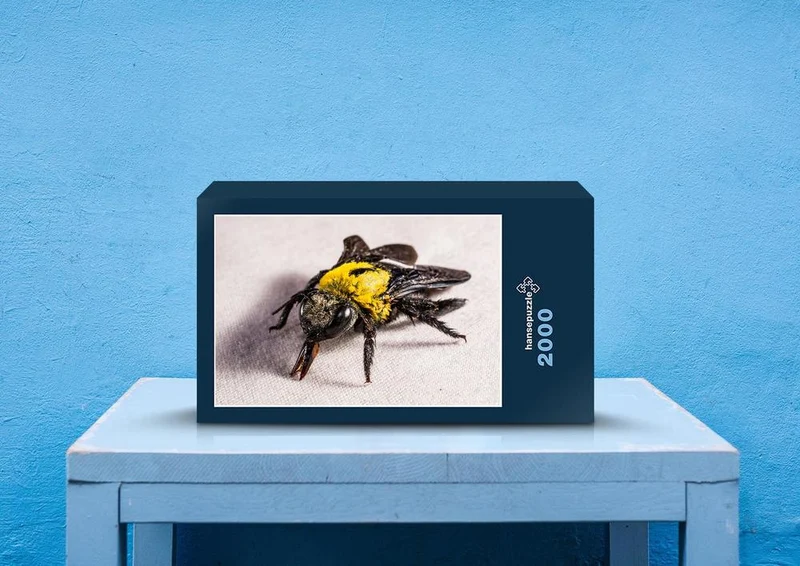 21425 Tierwelt - Fliege Puzzle