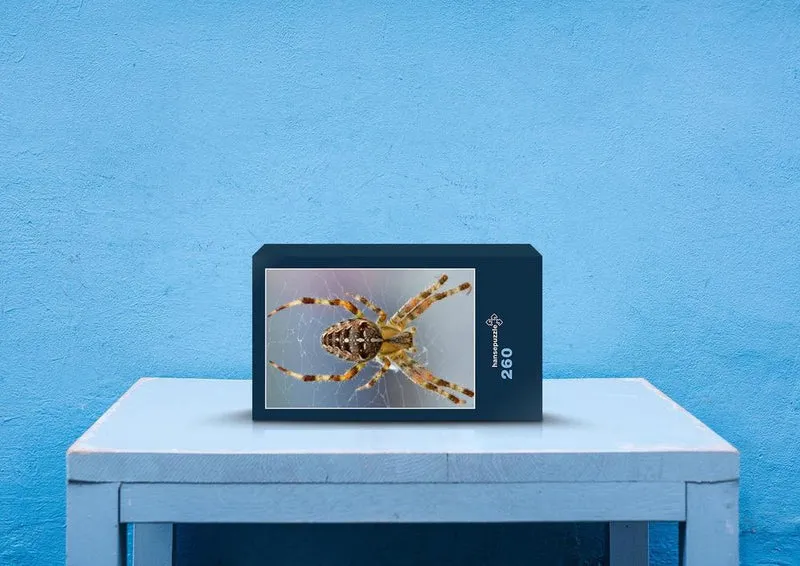 24429 Tierwelt - Spinne Puzzle