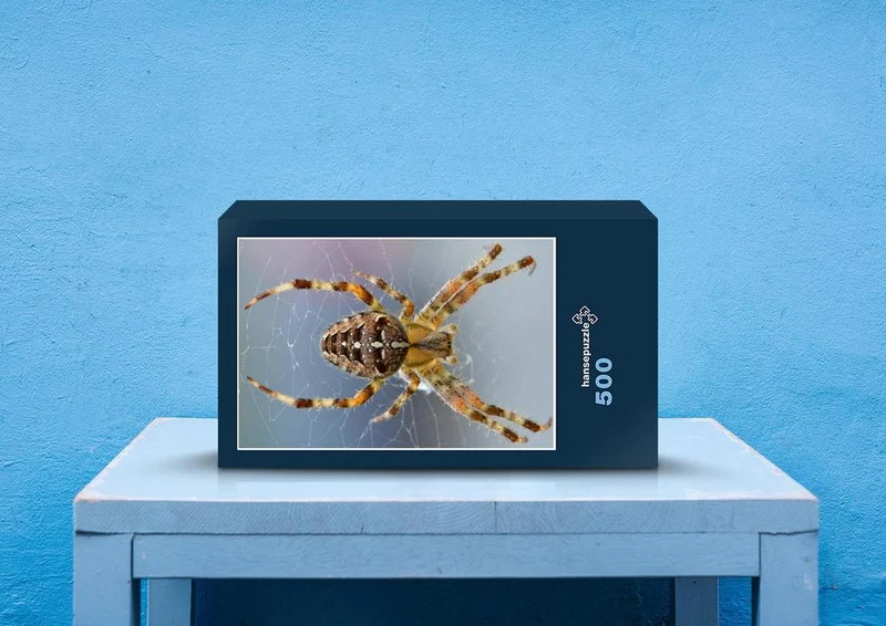 24429 Tierwelt - Spinne Puzzle