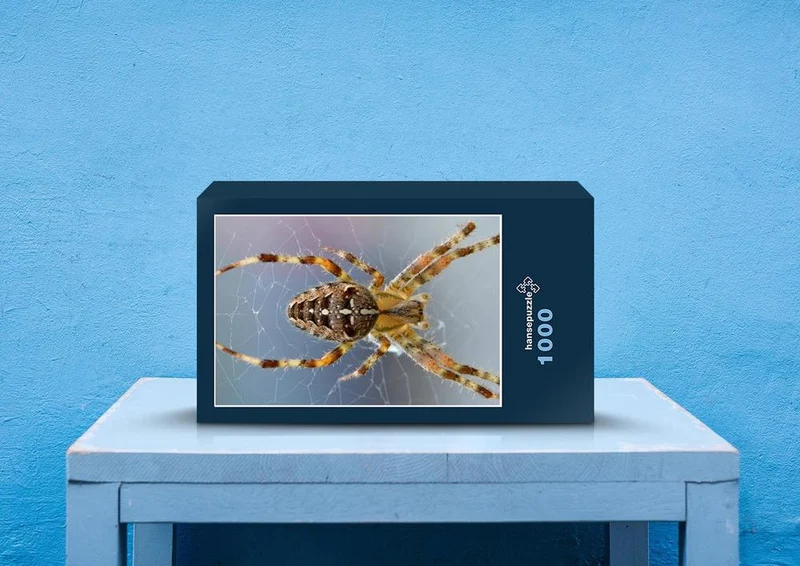 24429 Tierwelt - Spinne Puzzle