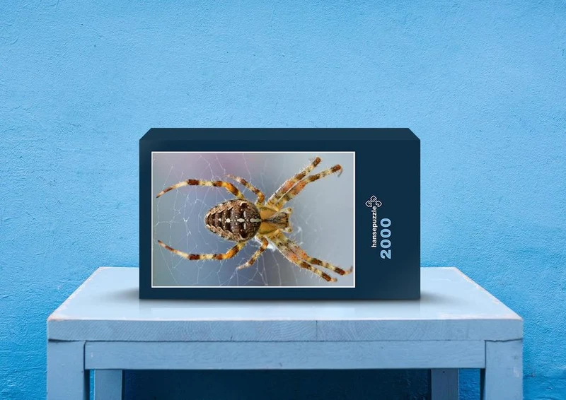 24429 Tierwelt - Spinne Puzzle