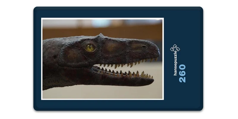 18532 Orte - Im Museum Puzzle