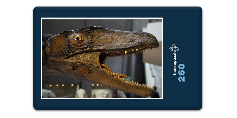 18525 Orte - Im Museum Puzzle