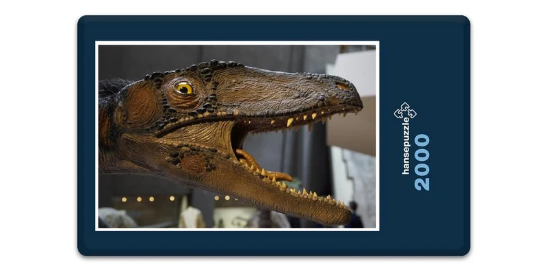 18525 Orte - Im Museum Puzzle