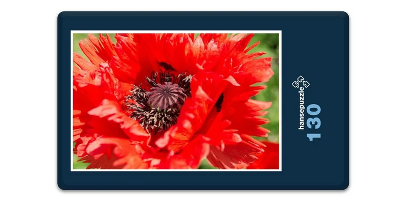 18567 Natur - Rote Blüte Puzzle