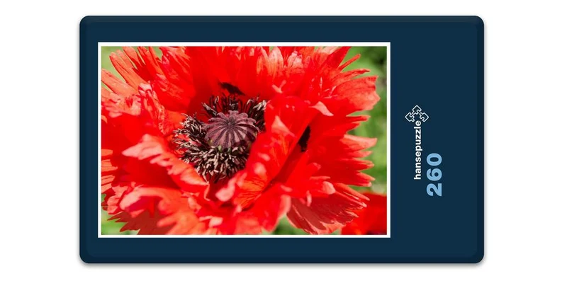 18567 Natur - Rote Blüte Puzzle