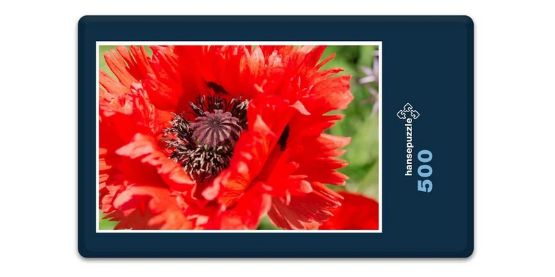 18567 Natur - Rote Blüte Puzzle