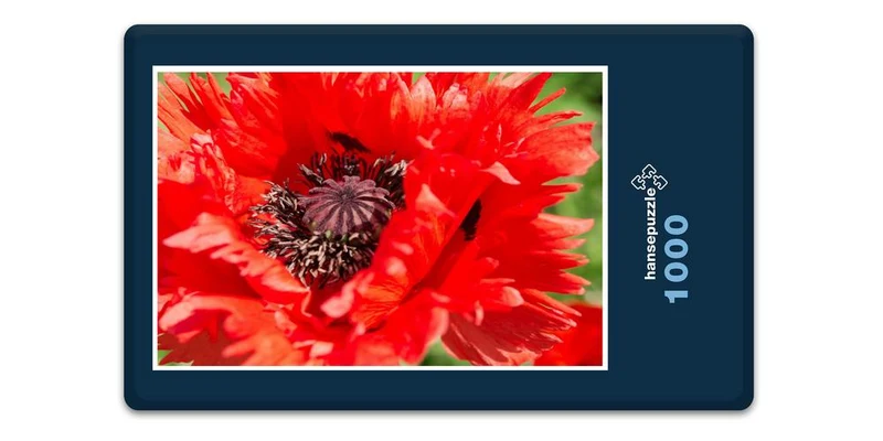 18567 Natur - Rote Blüte Puzzle