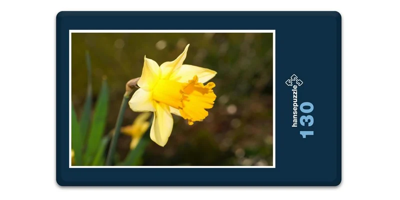 18566 Natur - Osterglocke Puzzle