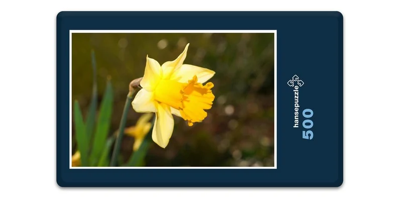 18566 Natur - Osterglocke Puzzle