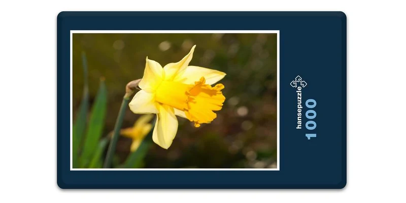 18566 Natur - Osterglocke Puzzle