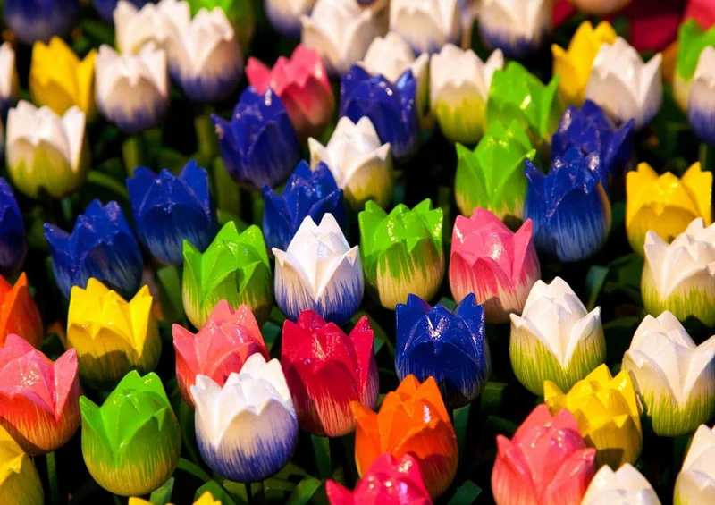 18565 Hintergründe - Tulpen Puzzle