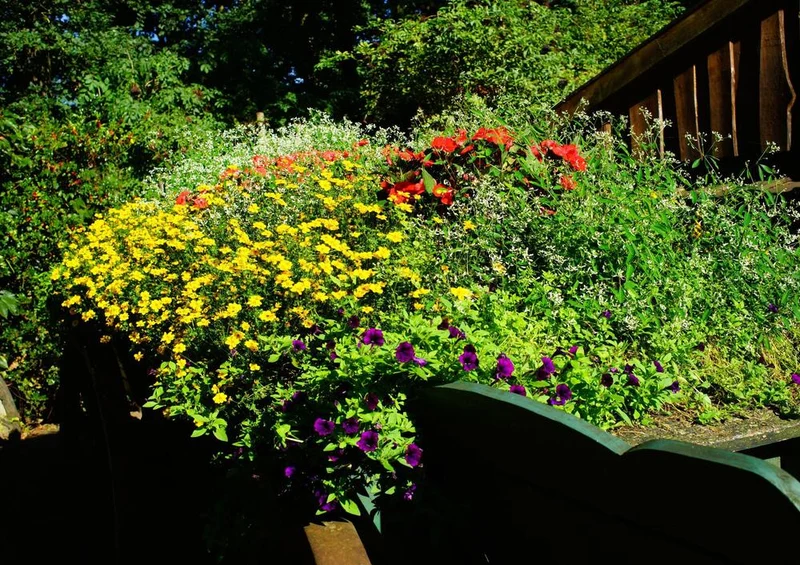 21726 Natur - Blumen-Dekoration Puzzle