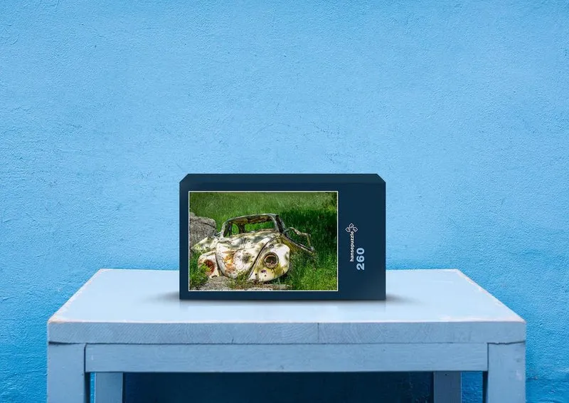 42069 Fortbewegung - Auto Puzzle