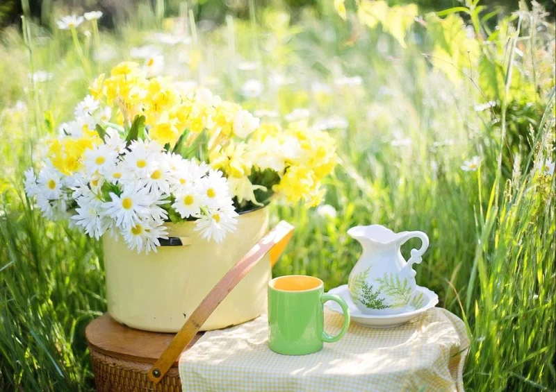 21611 Natur - Picknick Puzzle