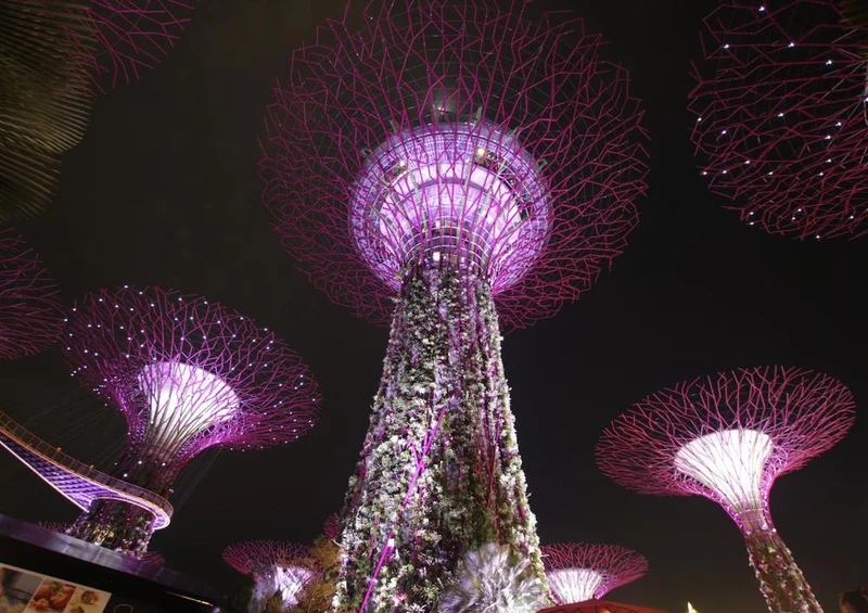 25825 Gebäude - Singapure bei Nacht Puzzle