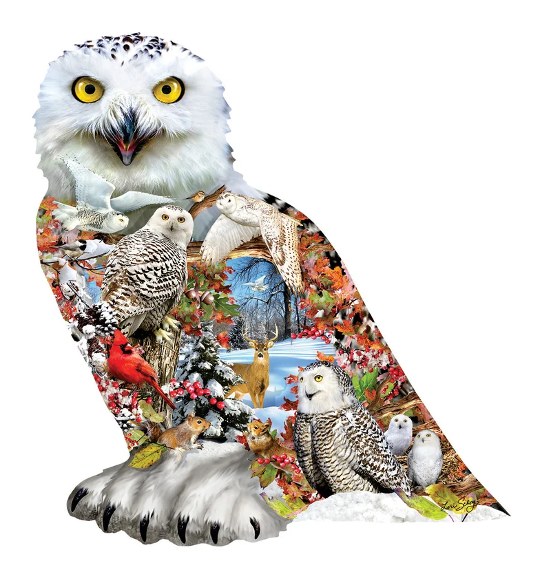 Snowy Owl, Lori Schory